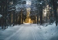 Rudens zīmes, kuras parāda mums priekšā, kāda ziema gaidāma