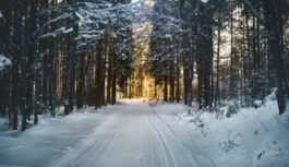 Rudens zīmes, kuras parāda mums priekšā, kāda ziema gaidāma